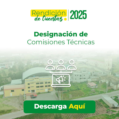 comisiones-tecnicas-1 Rendición de Cuentas 2025